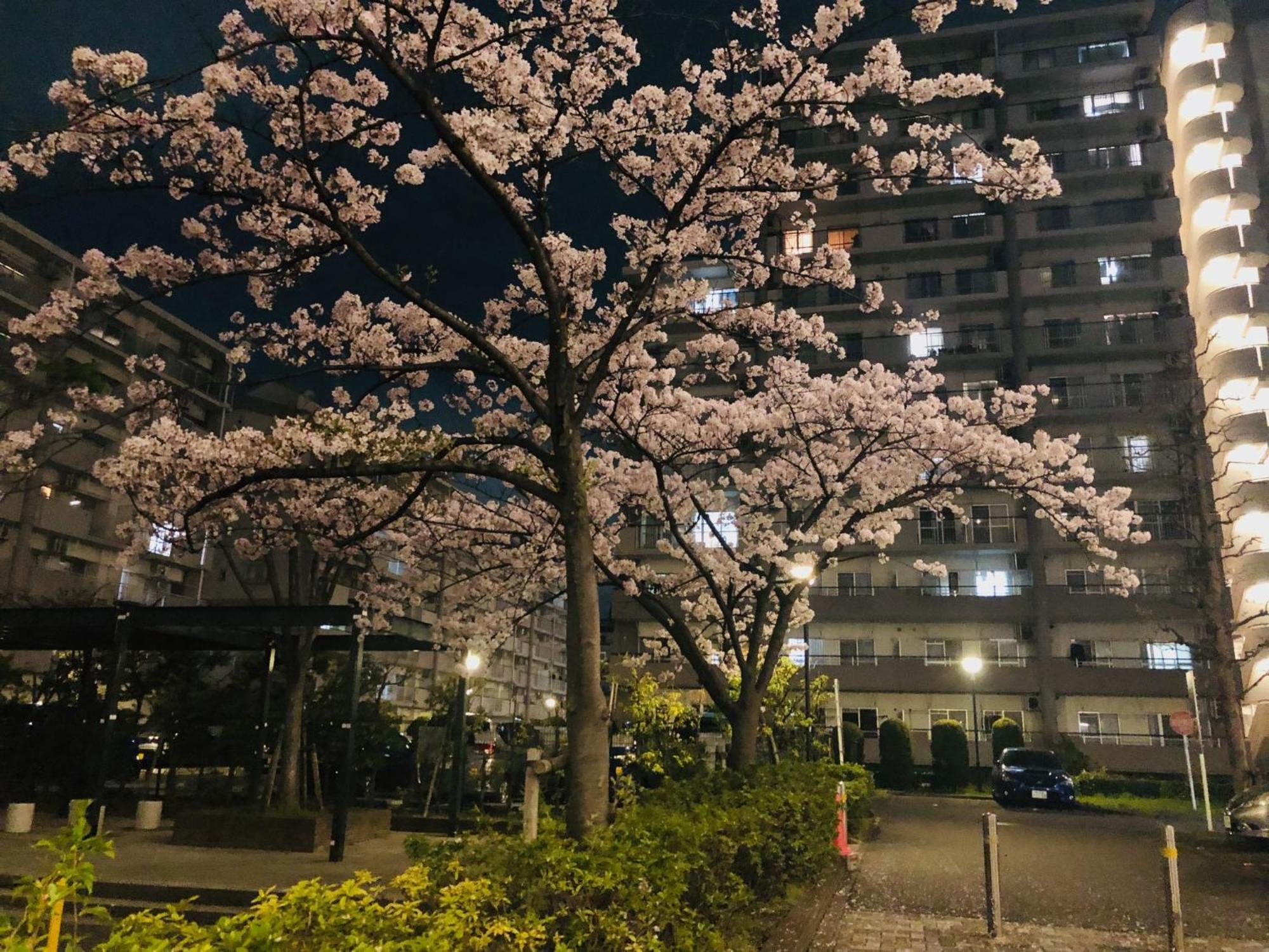 Jl 東京 House - 駐車場付き築浅のまるごと貸切住宅 Tokyo Luaran gambar